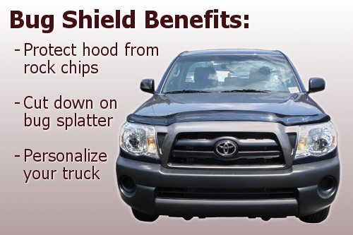 Bug guard for toyota tacoma