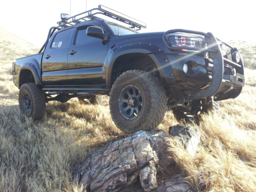 2011 Toyota Level 7 Zombie Assault Tacoma - Featured Truck Rocks 2011 Toyota Level 7 Zombie Assault Tacoma - Rocks